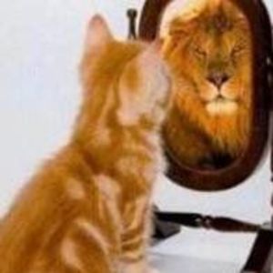 Meet your Posher, Nina