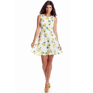 Cynthia Rowley Lemon Drop Fit & Flare