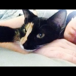 Meet your Posher, Kate