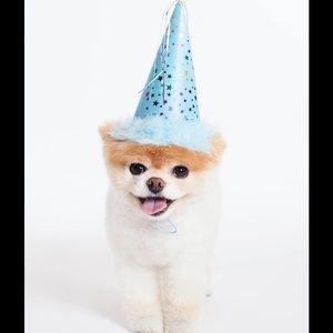 Meet your Posher, Shruthi r