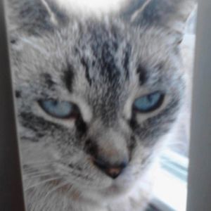 Meet your Posher, Lynette