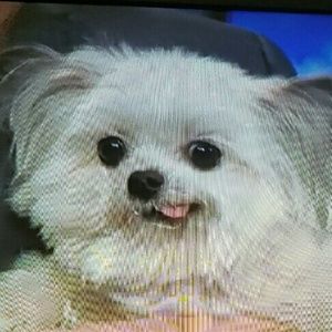 Meet your Posher, Ramon