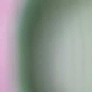 Meet your Posher, Dori