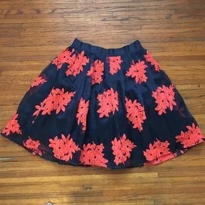 GORGEOUS Anthropologie skirt