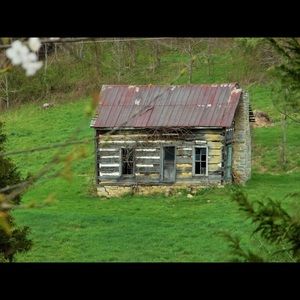 Meet your Posher, Arlene