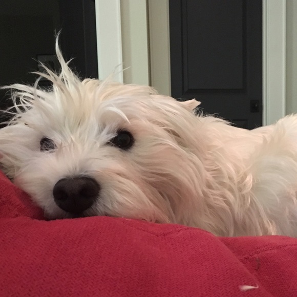 Meet your Posher, Becca