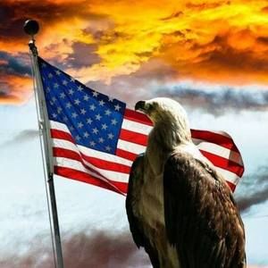 Meet your Posher, Wanda