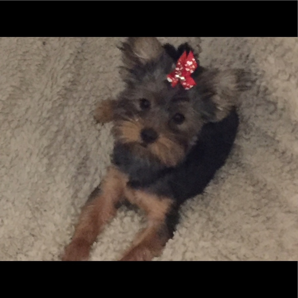 Meet your Posher, Vicki