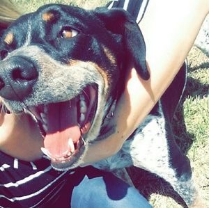 Meet your Posher, Lorelei