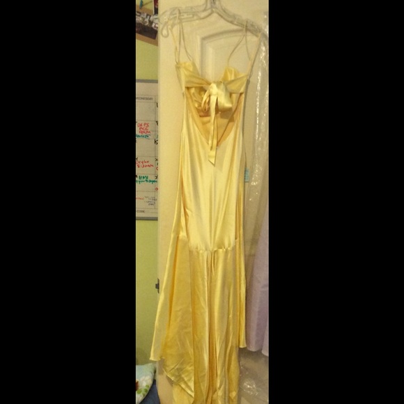 Fishtail Gown/Prom Dress - Picture 2 of 2