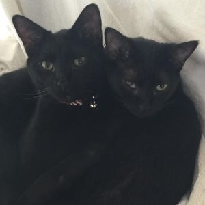 Meet your Posher, Patricia