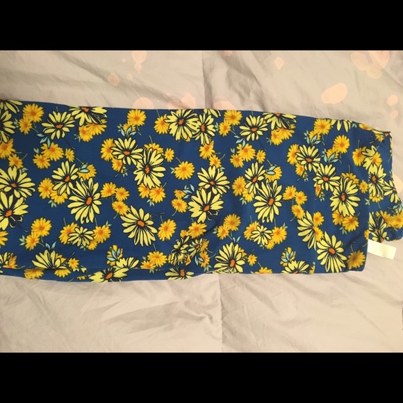 TC Daisies