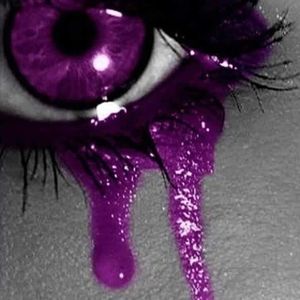 Meet your Posher, Champella