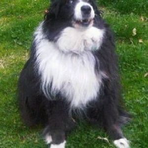 Meet your Posher, Diane