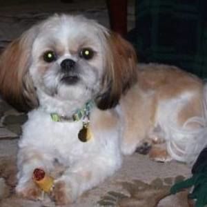 Meet your Posher, Sandra