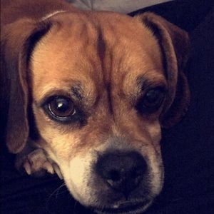 Meet your Posher, Harley