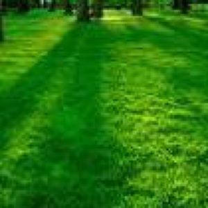 Meet your Posher, Dulce