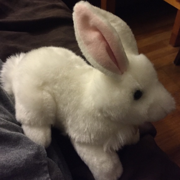My stuffed bunny which i name Sammy hi - Picture 1 of 2