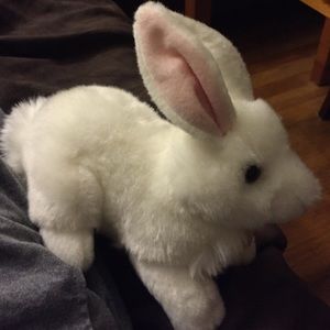 My stuffed bunny which i name Sammy hi