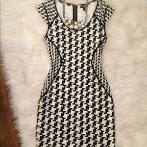 Black and White Express, Fitted Professional dress