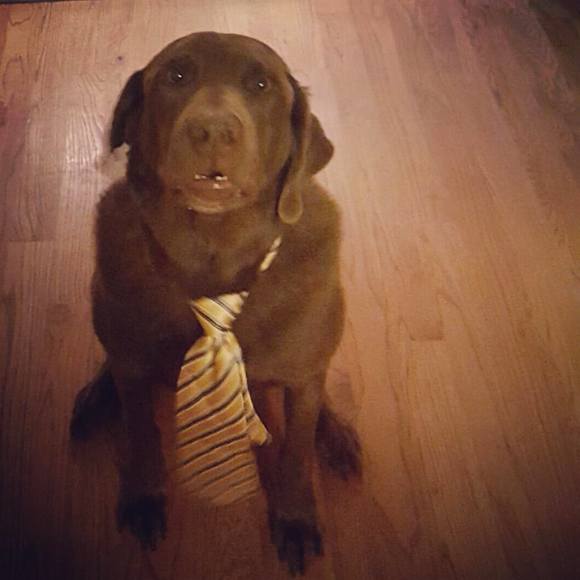 Meet your Posher, Nichole - Picture 1 of 1