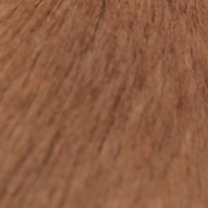 Meet your Posher, Jolene