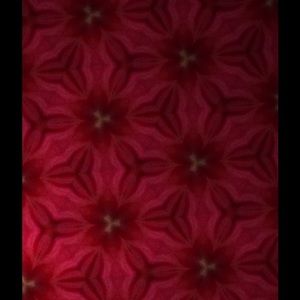 Meet your Posher, Drew