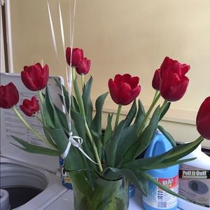 Meet your Posher, Digna