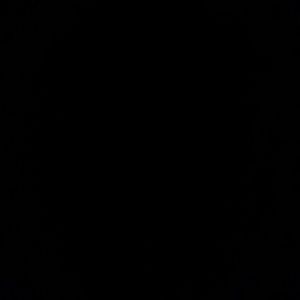 Meet your Posher, Ginger