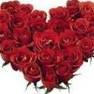 Meet your Posher, Rosee