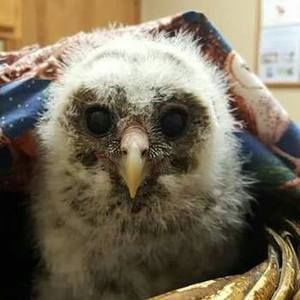 Meet your Posher, Louann