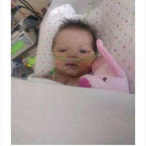 Meet your Posher, Charlee