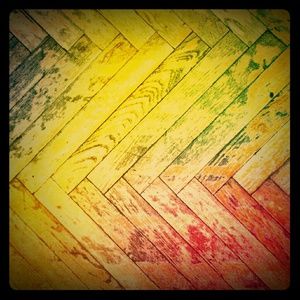 Meet your Posher, Josi