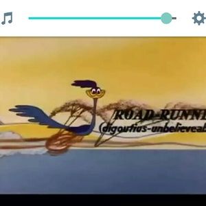 Meet your Posher, Gloria