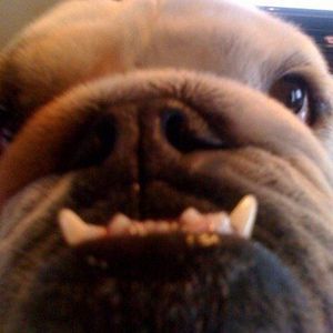 Meet your Posher, Ellen