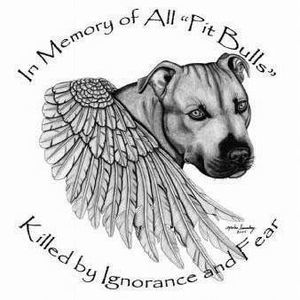 Meet your Posher, Kristina