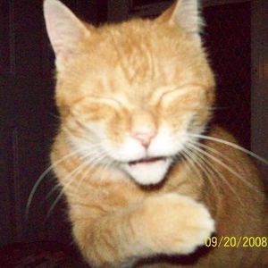 Meet your Posher, Suzanne