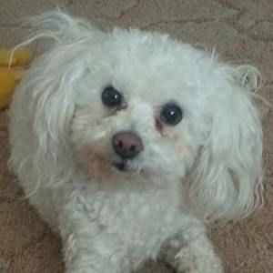 Meet your Posher, Coretta