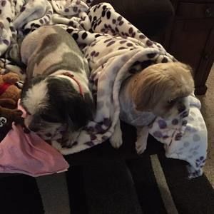 Meet your Posher, Donna