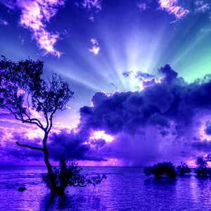 Meet your Posher, Jo