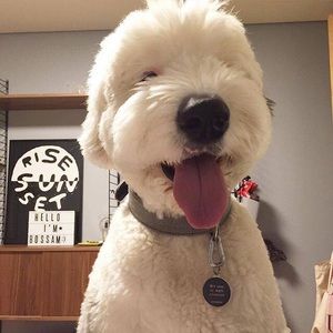 Meet your Posher, Hui zi