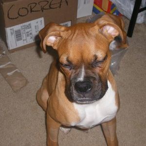 Meet your Posher, Cynthia