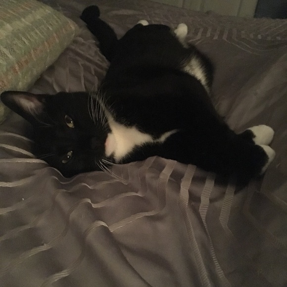 Meet Me 😆 - Picture 9 of 16