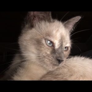 Meet your Posher, Tonya