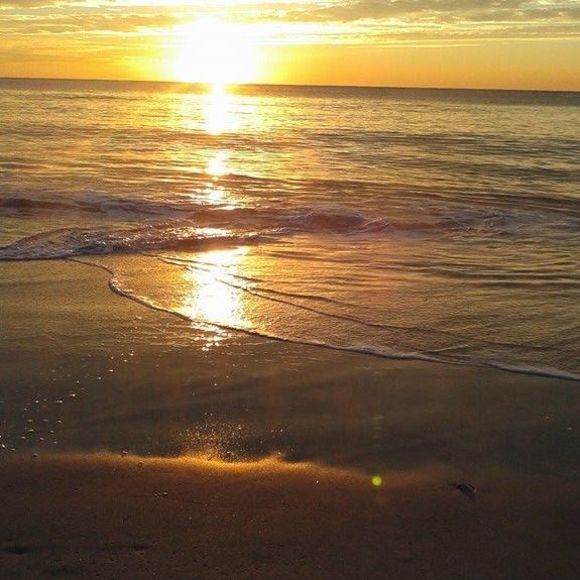 Meet your Posher, Donna - Picture 1 of 1