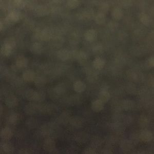 Meet your Posher, Chahna