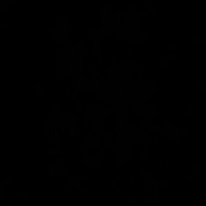 Meet your Posher, Joanie