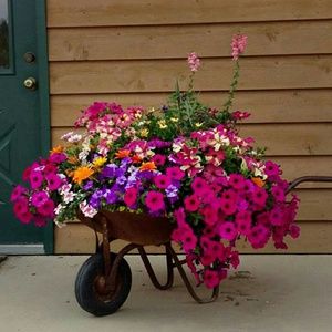 Meet your Posher, Shelley