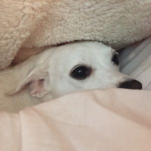 Meet your Posher, Gretchen