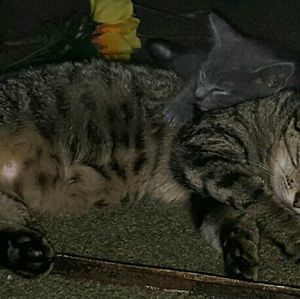 Meet your Posher, Krystal